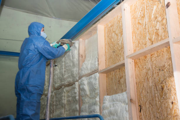 Best Home Insulation Services  in Thiells, NY